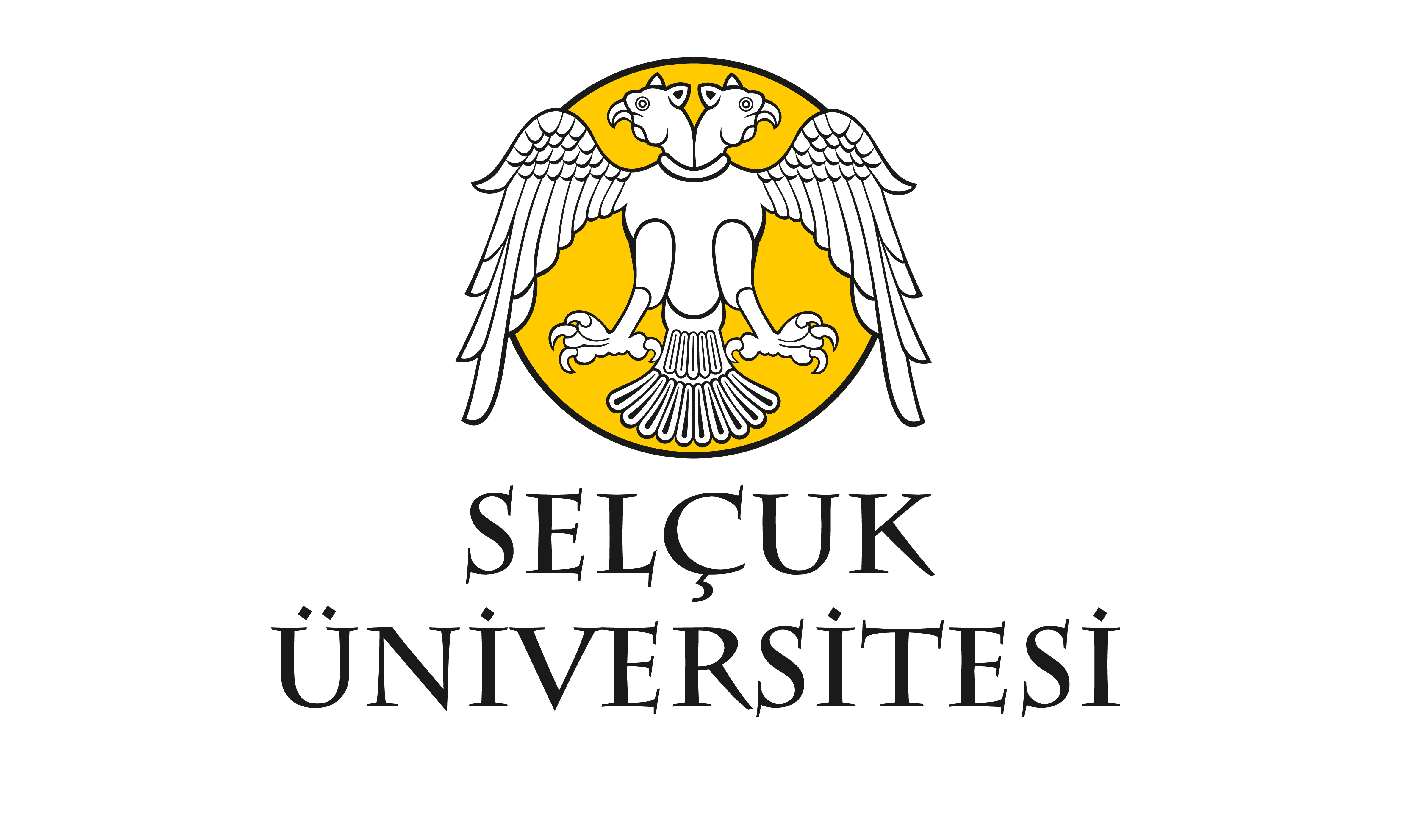 Seljuk University Konya